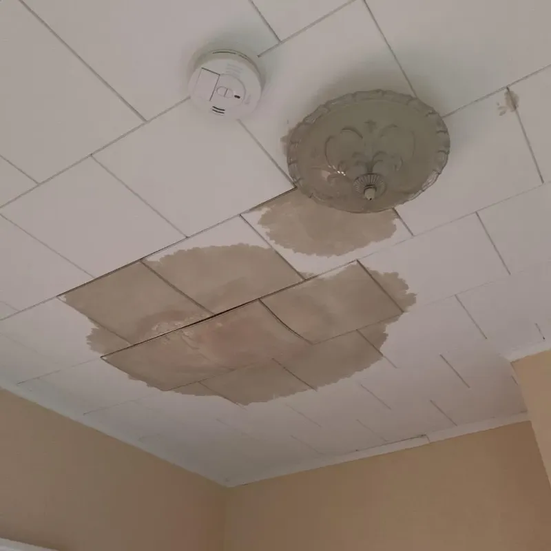 Ceiling Water Damage Repair in Lowellville, OH