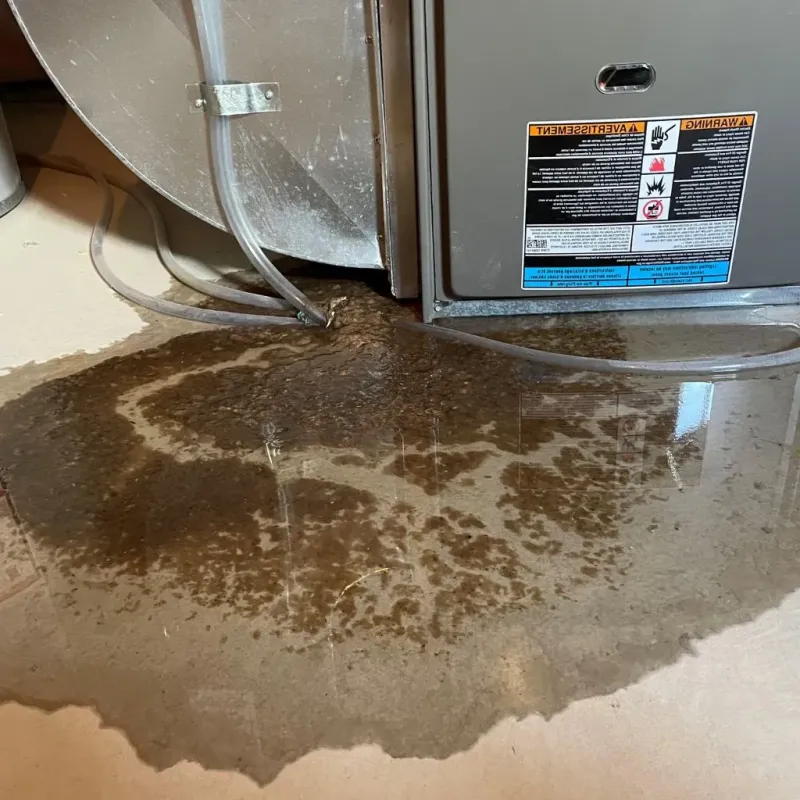 Pipe Burst and Leak Restoration in Lowellville, OH