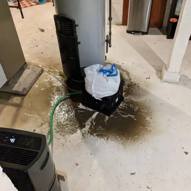Sewage Backup Cleanup Service in Lowellville, OH